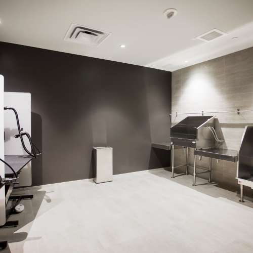 To help make your life easier, we’ve designed a private pet grooming area.