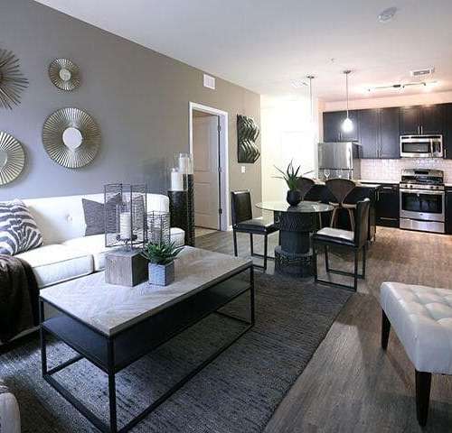 The Allure Mineola : Living Room