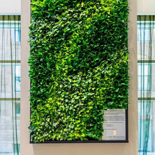 Green Wall