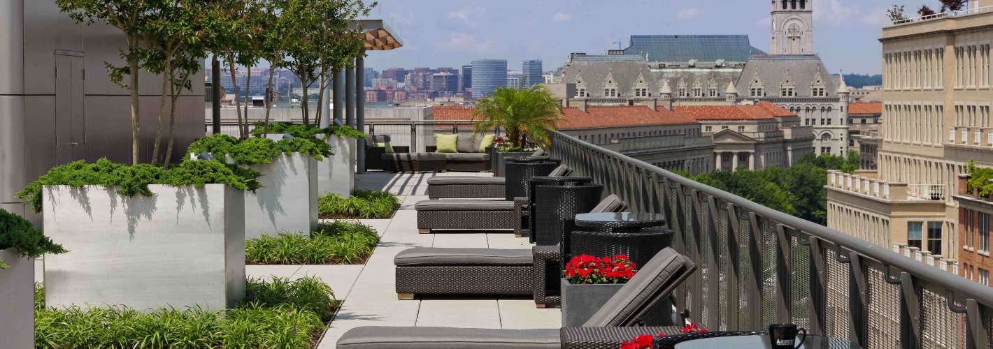 565 Penn Residences : Rooftop 3