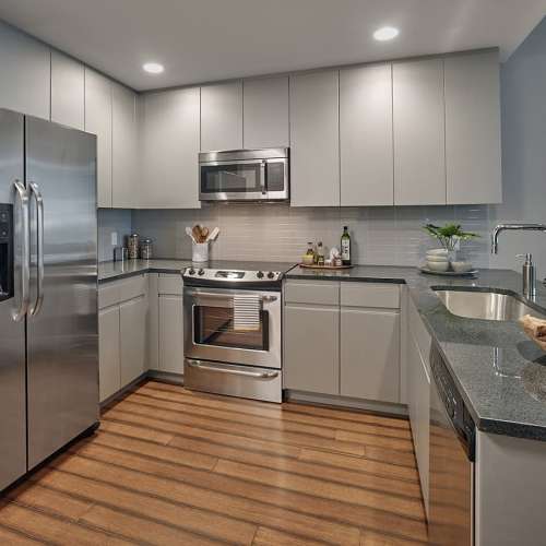 Park + Garden : Kitchen