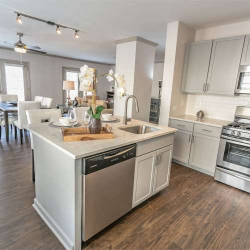 Stainless steel appliances in our newly-renovated townhomes