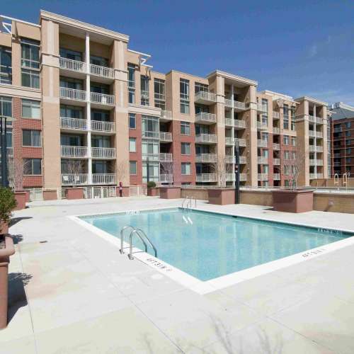 See The Palatine Apartments Apartment Photos & Videos Amenities