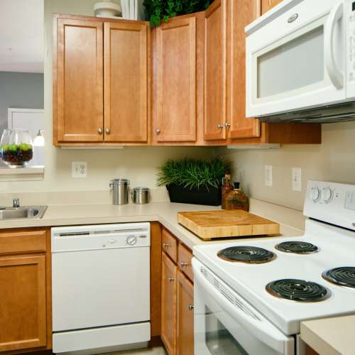 From quick meals to culinary masterpieces, the kitchen is ready.