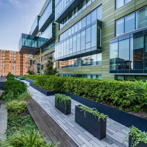 Fully maintained pick-your-own herb garden