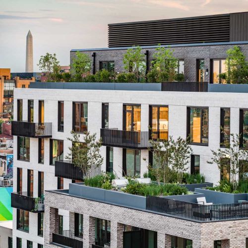 Historic views of DC, right outside your window