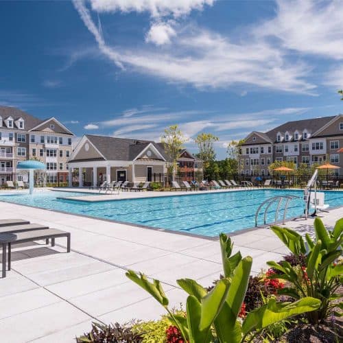 Relax pool side while enjoying the view