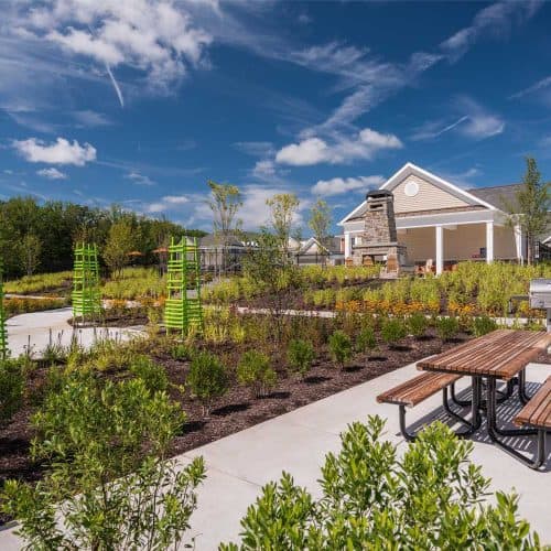 Designated central space for grilling and dining