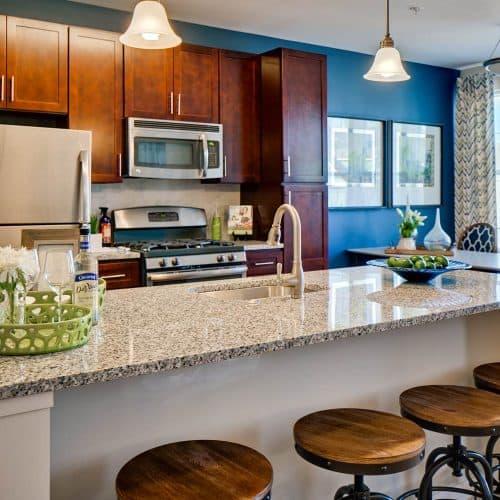 Stylish granite countertops create a luxe cooking experience