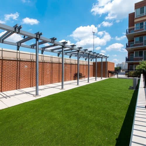 Let your pet run around in our pet park. 