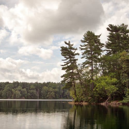 At Winthrop, beautiful hikes and wildlife adventures are just a quick drive away.