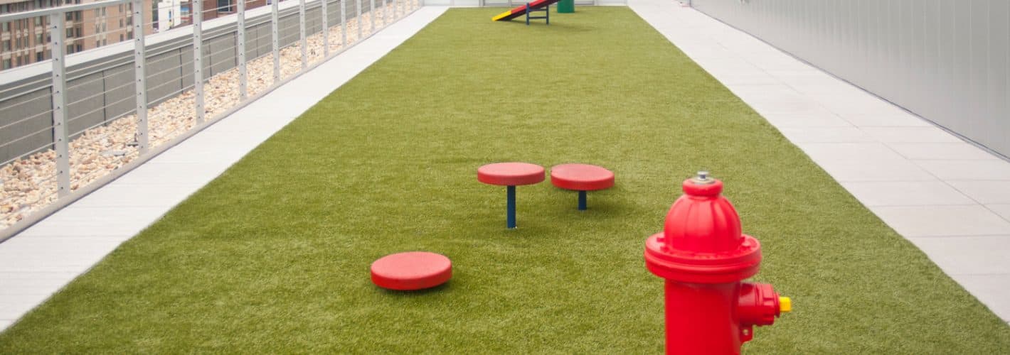 City Market at O : Amenities for your furry friends, too.