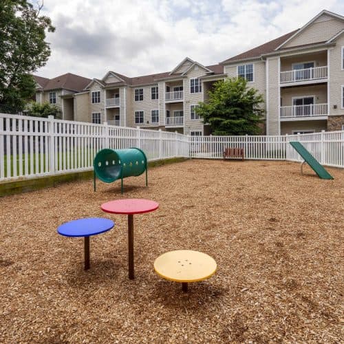 Enjoy at afternoon with your best furry friend at our dog park.