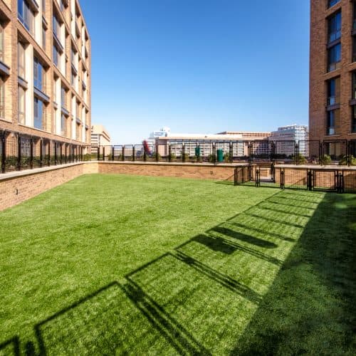 Amenities for our four-legged residents, too