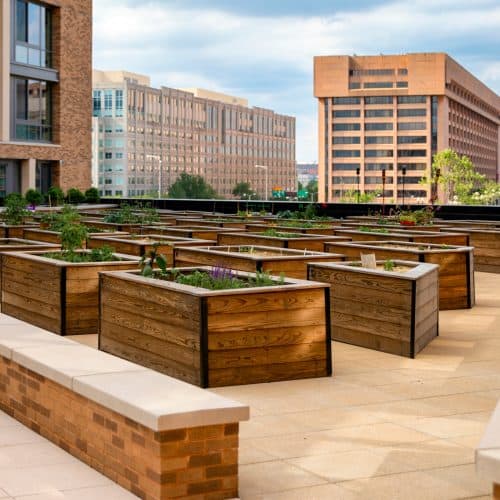 Dig into our community garden