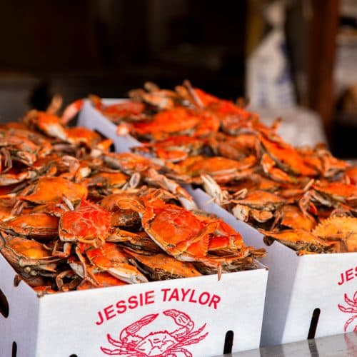 Enjoy the most delicious parts of The Wharf