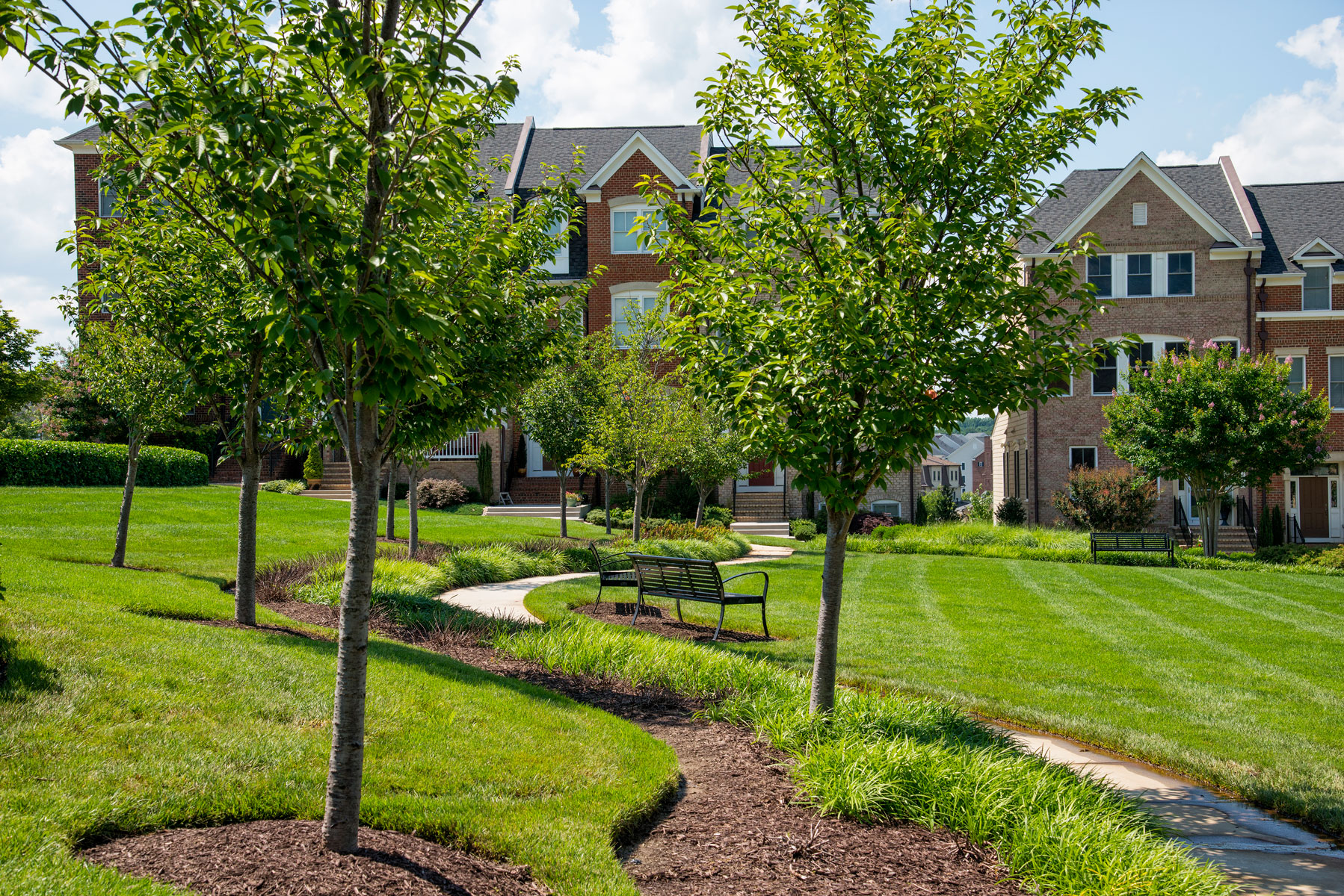 Green lawn with trees and benches in front of houses.
