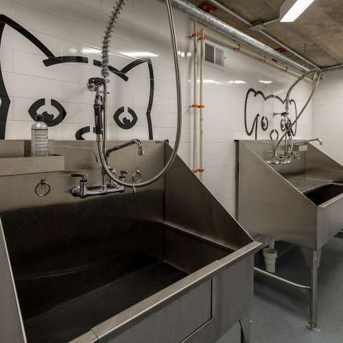 Pamper your pets at our on-site pet spa