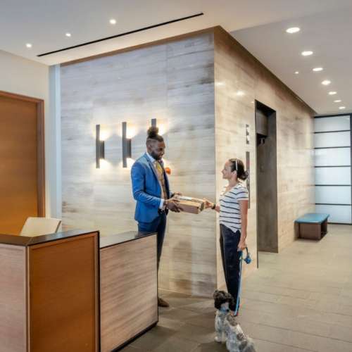 Top notch services start here.