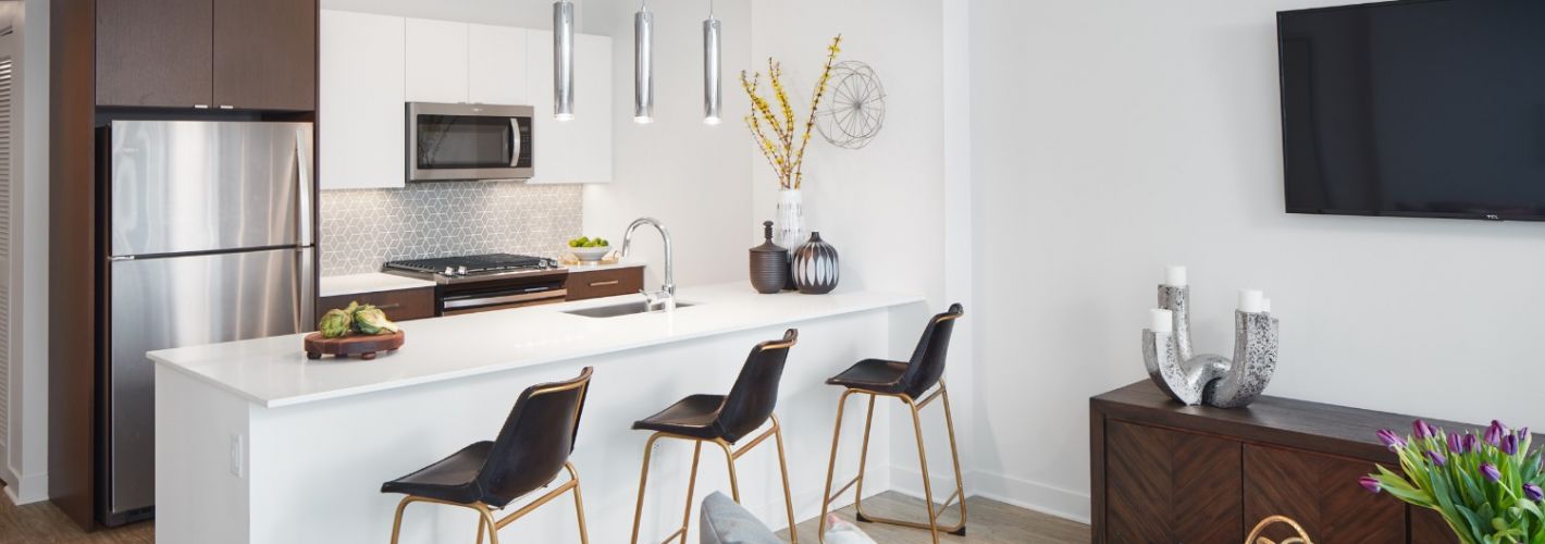 The Paragon Chicago : Kitchen