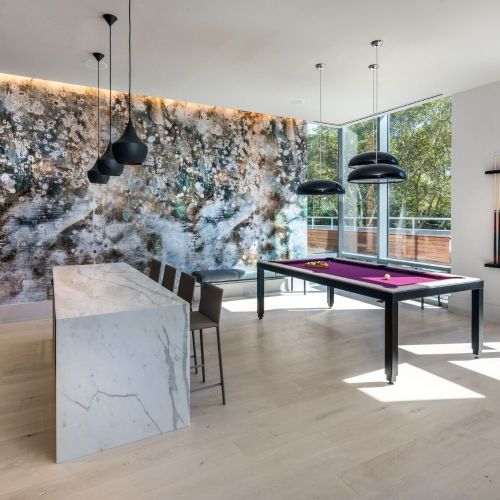 Party Room Pool Table