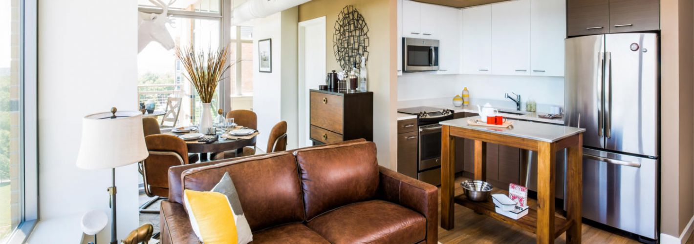 The View Ballston : Model Living Room 2