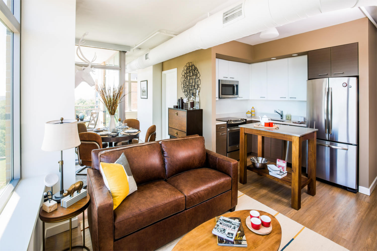 The View Ballston : Model Living Room 2