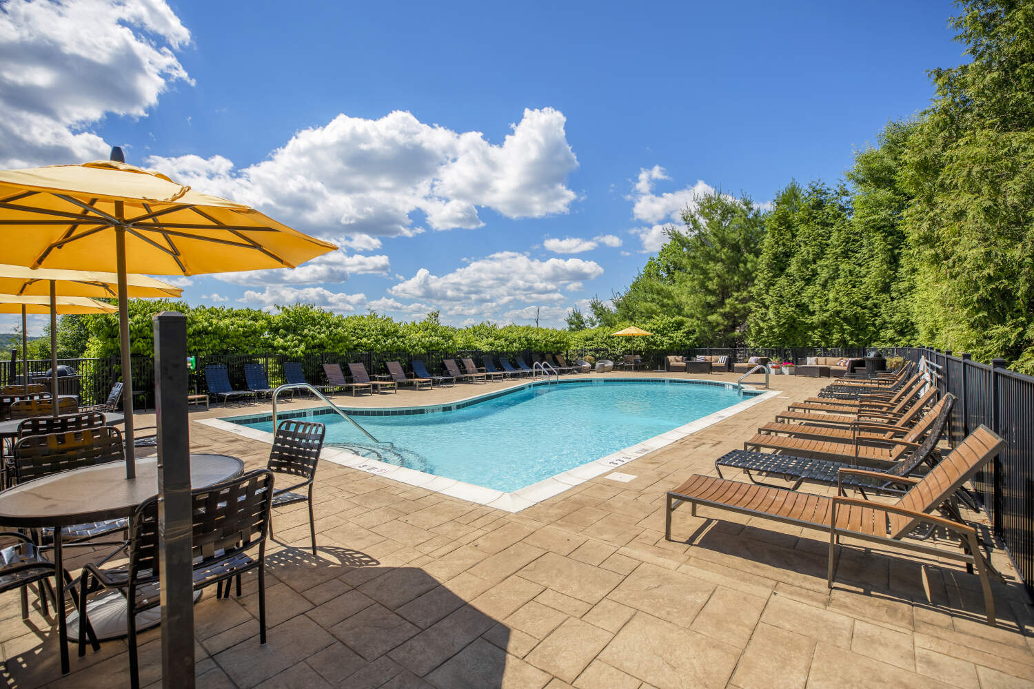 The Point at Still River : Pool
