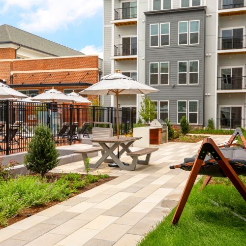 Picnic Table & Hammock