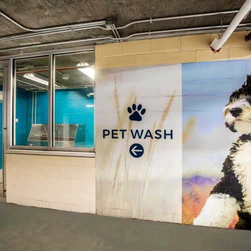 Pet Wash Station