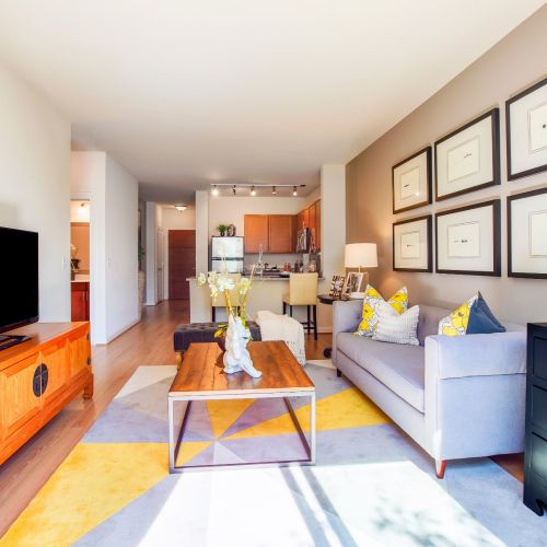 See Halstead Square Lofts & Lotus Apartment Photos & Videos