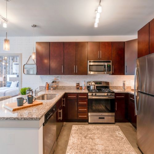 Chestnut Square Kitchen 