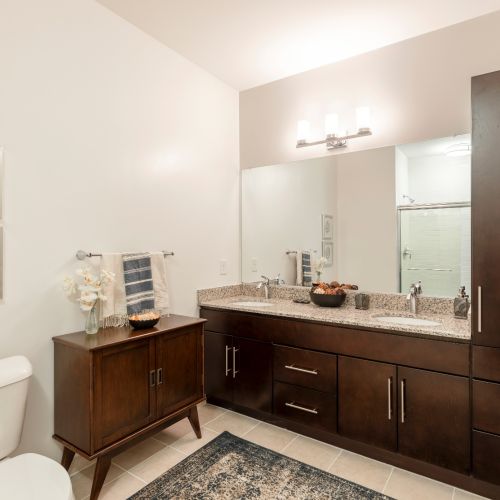 Chestnut Square Bathroom 