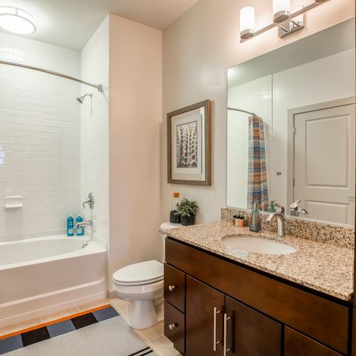 Chestnut Square Bathroom 