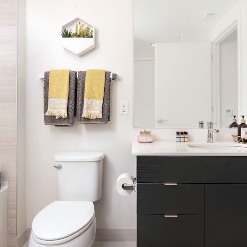 Guest Suite Bathroom