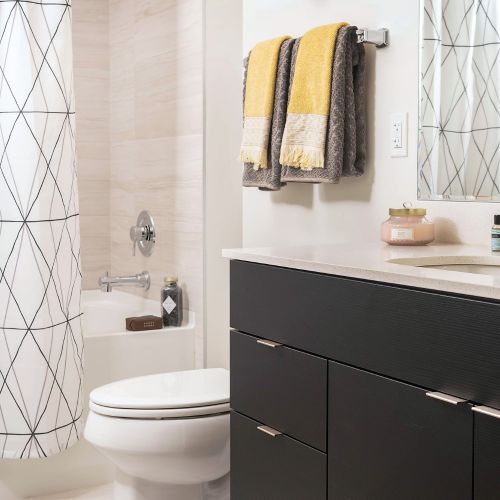 Guest Suite Bathroom