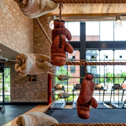 Boxing ring for the bold.