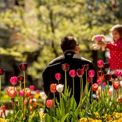 Explore your neighborhood with lush greenery, water features and new adventures