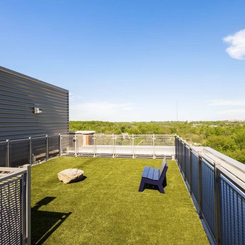 Rooftop Pet Play Area