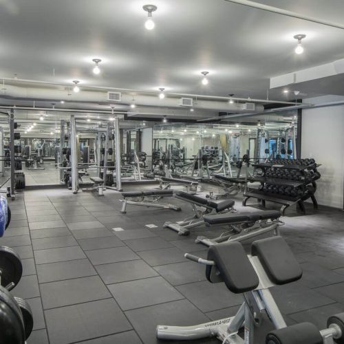 Fitness Center Weights