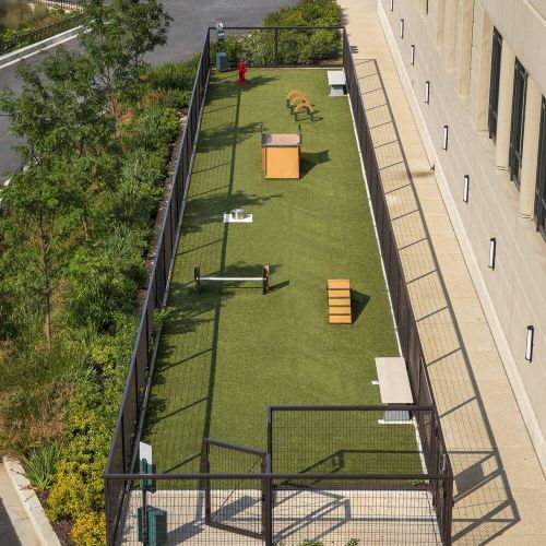 Socialize your dog in our expansive 2,304 square foot doggy playground and agility course.