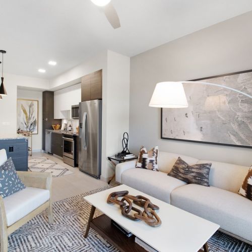 Living Room and Kitchen