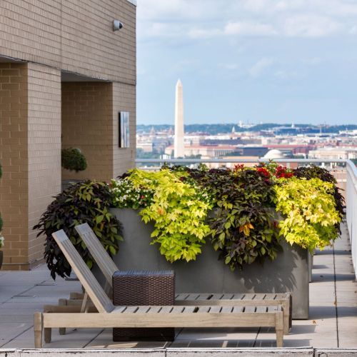 Rooftop view of the Washington Monument