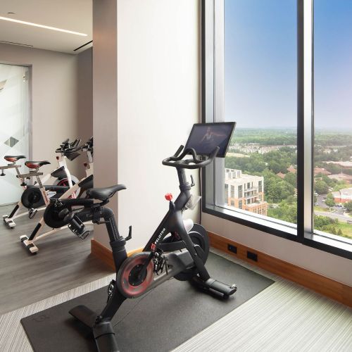 Bike rides with a view