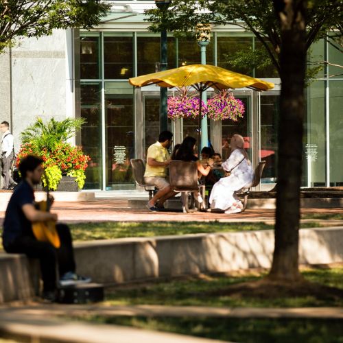Guitar in Reston Park