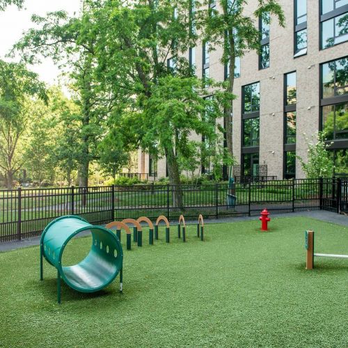 Pet-friendly environment with on-site dog park