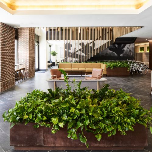 Discover a life of bliss through contemporary comfort, botanical accents and meaningful design