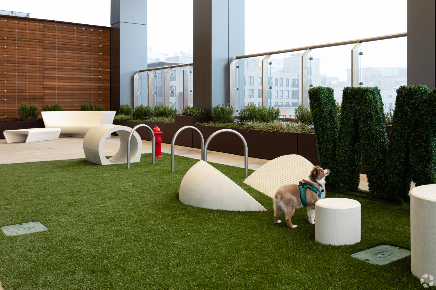 Hub50House : Bark Park