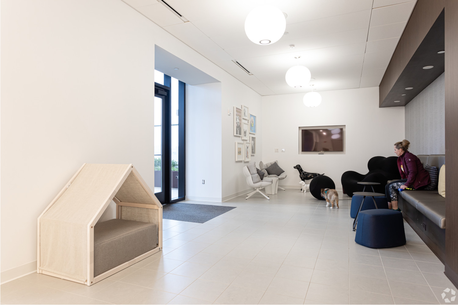 Hub50House : Pet Lounge