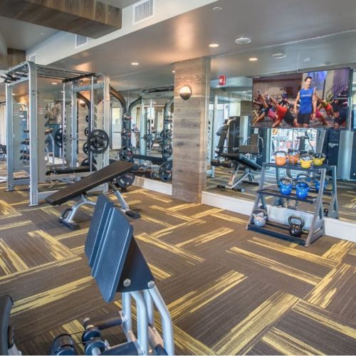 17246_Fusegym2AMENITY